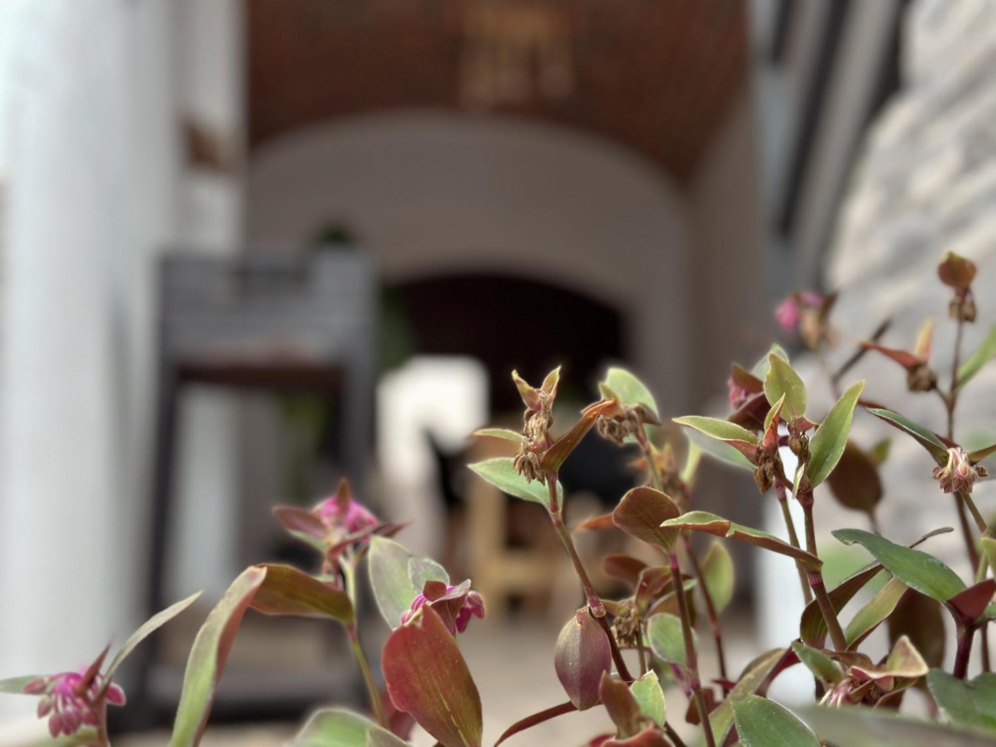 Casa Rural Alcocer Deluxe L Privacidad E Intimidad Puebla de Alcocer Екстер'єр фото